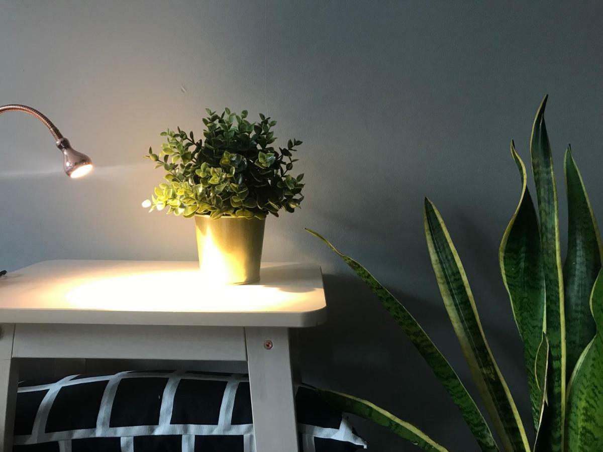 Apartament Centrum زيلونا غورا المظهر الخارجي الصورة