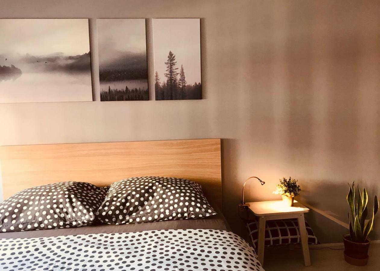 Apartament Centrum زيلونا غورا المظهر الخارجي الصورة